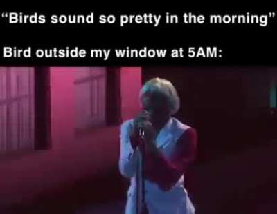 Every damn morning