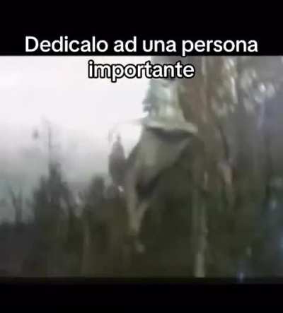 Al chat
