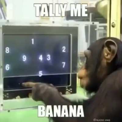 Rule