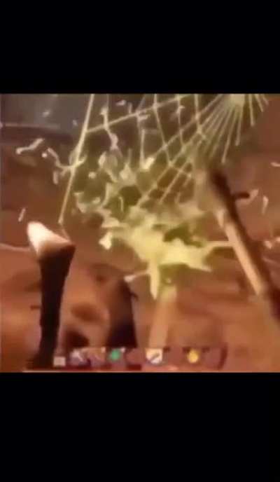 Spider