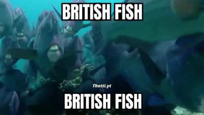 Pyrocynical fish
