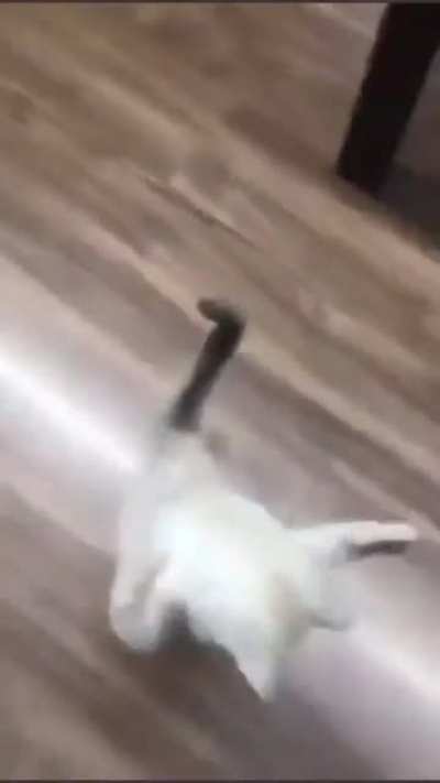 What is he doing