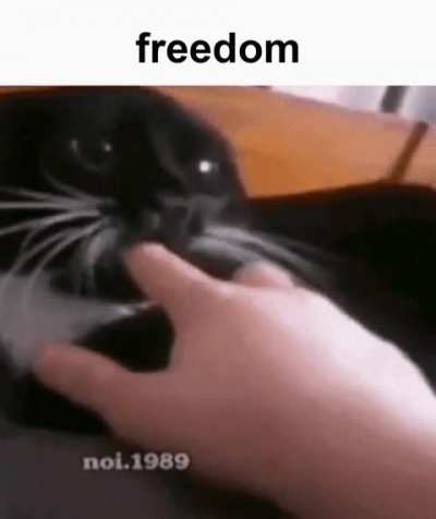Rule