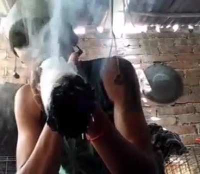 Terçou! 🌿