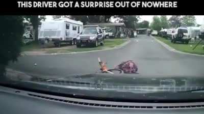 Who was in the wrong?