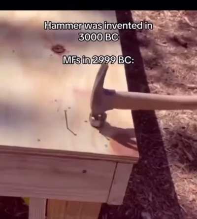 Hammer