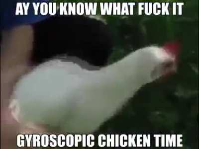 CHICKEN!!!! 🐔🐔