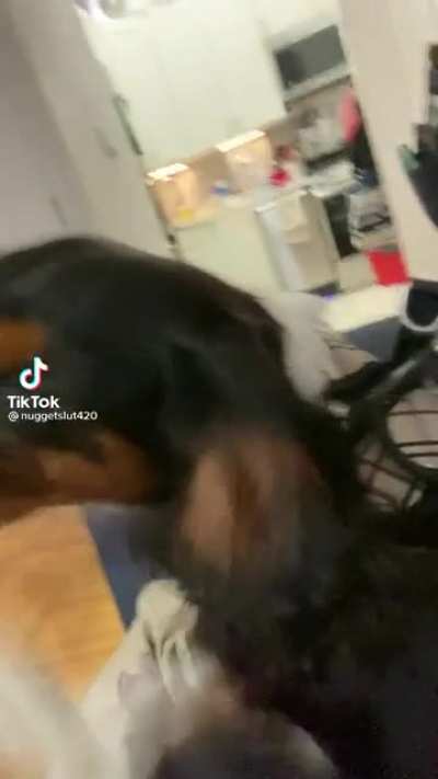 Massage chair