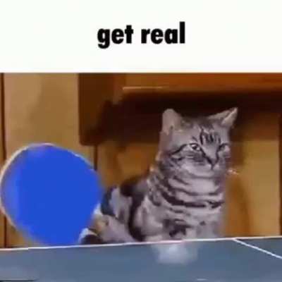 Rule