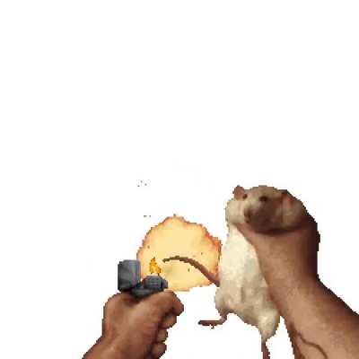 Atlast, rat!