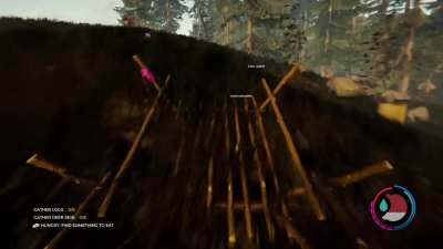 The Forest experience 