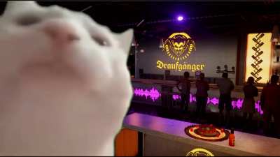 Cat vibin at Miami Drivers Lounge