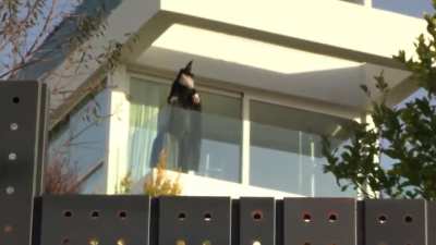 Shakira has reportedly put up a witch mannequin on her balcony facing her ex mother-in-law’s house, with BZRP sessions playing in the background