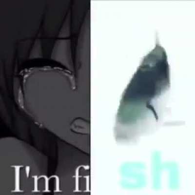ru le