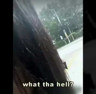 Asian street dildo