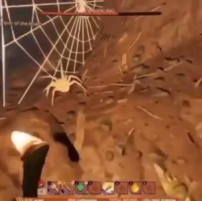 Momma Spider🕸🕷