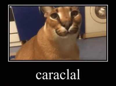 Caraclal
