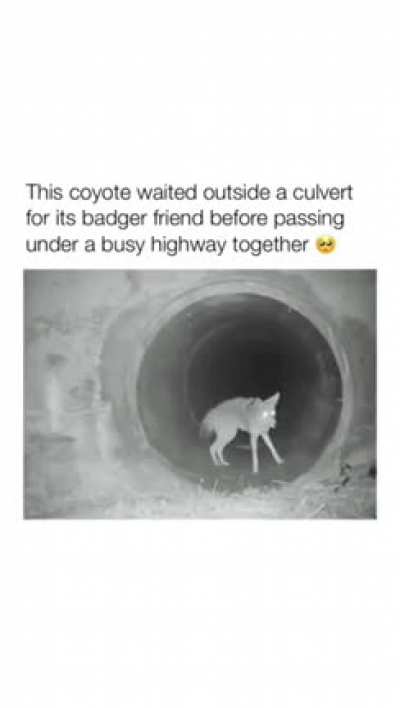 The most wholesome thing I’ve seen all day. 🥰