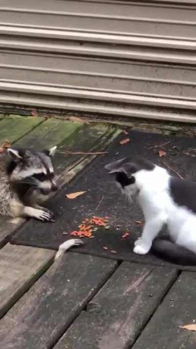 To steal some snacks