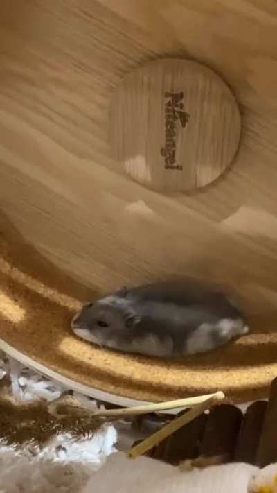 He loves his wheel