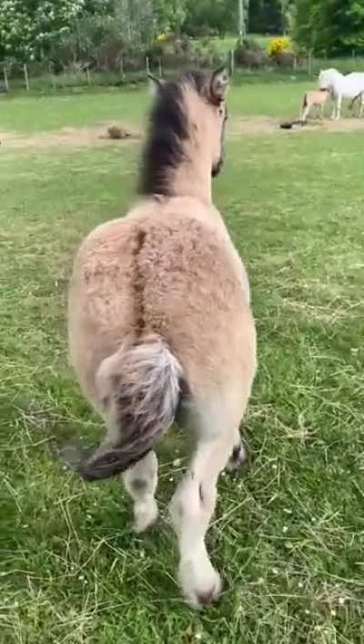 When bum scratches are life