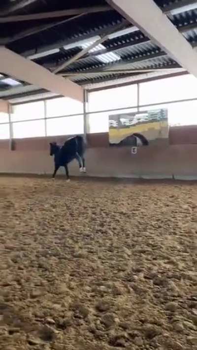 Horse thinks he's a dragon and runs around the arena (sound on)