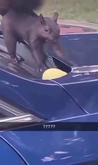 Posted by suggestion.
