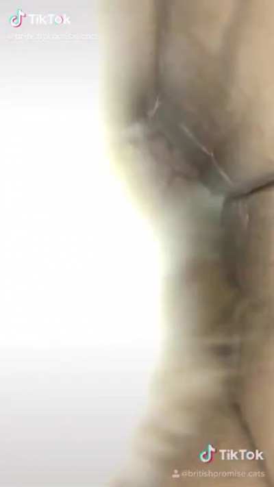 👁👄👁