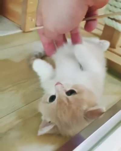 More than cute
