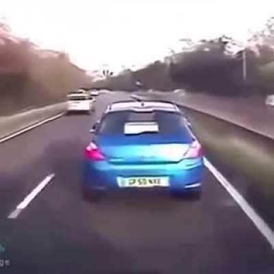 are you fuckin nuts
