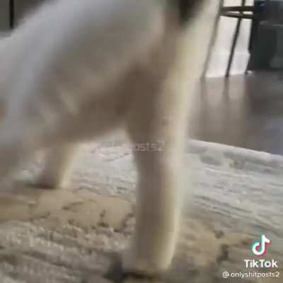shidpost