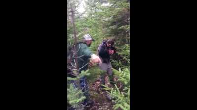 WSP when you chase a bear up a tree.
