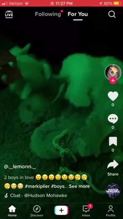 Only on tik Tok