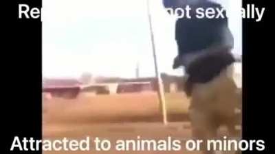 blursed_repost
