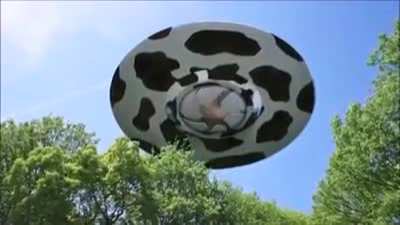 Cursed_milk