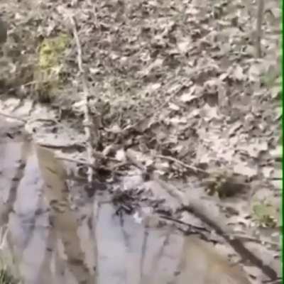 aaaaaaAAAAAAA-