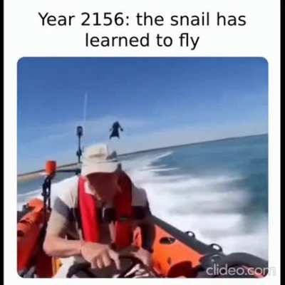 Life finds a way.