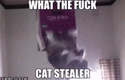 Oh no!