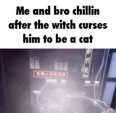 Title