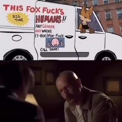 fox_irl