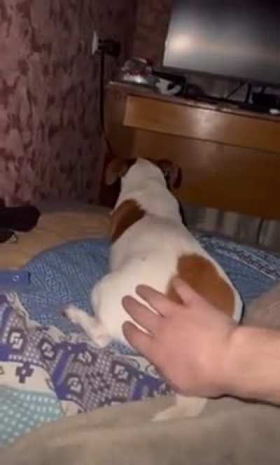 Do not touch my butt