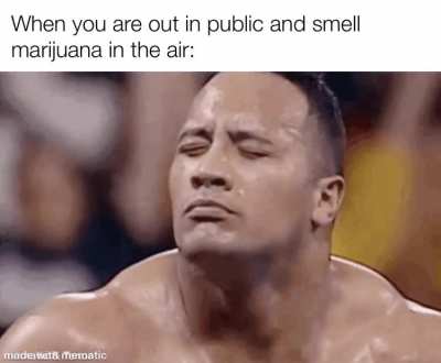 The devils lettuce is always around