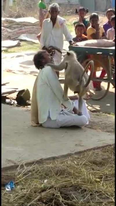 Monkey Scalper.