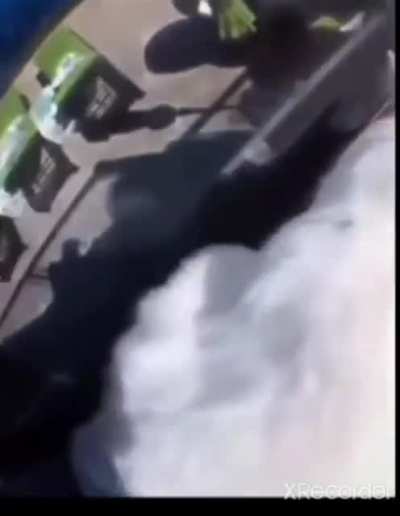 Blursed cat