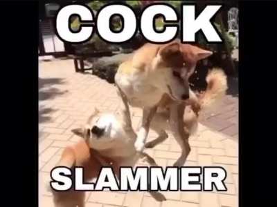 simplemente cum