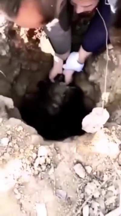 Now it's clear how he fell into that pit