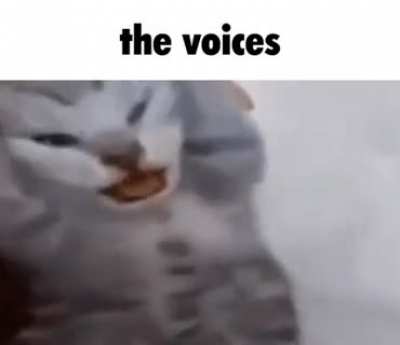 They don't stop