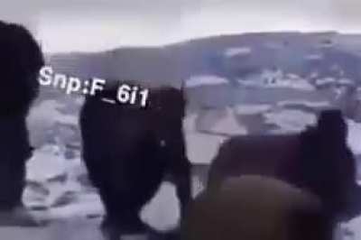 Allahu bye bye