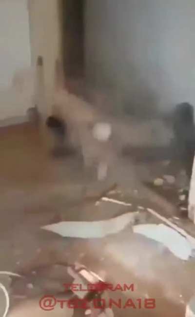 Auuu