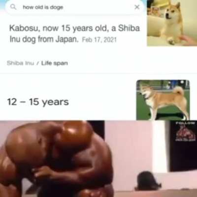Rip